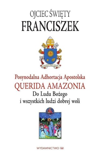 Querida amazonia, Papież Franciszek