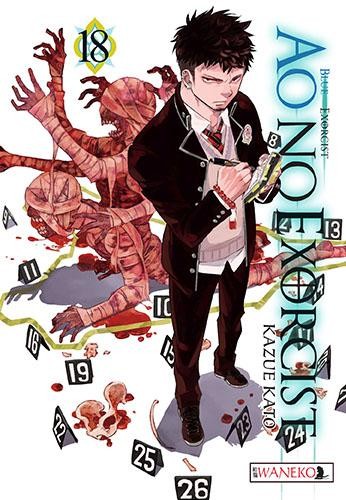 Ao No Exorcist. Tom 18, Kazue Katou