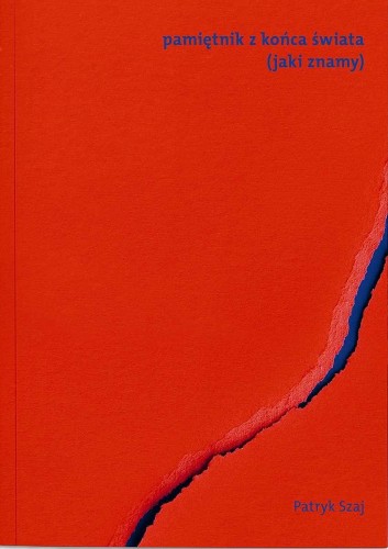 Pamiętnik z końca świata (jaki znamy), Patryk Szaj
