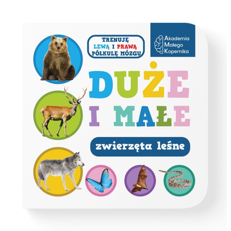 Duże i małe. Zwierzeta leśne, Opracowanie zbiorowe