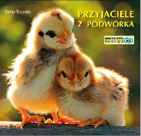 Przyjaciele z podwórka, Stefan Todorski