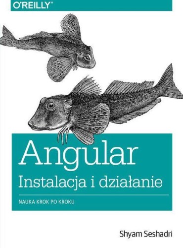 Angular instalacja i działanie nauka krok po...