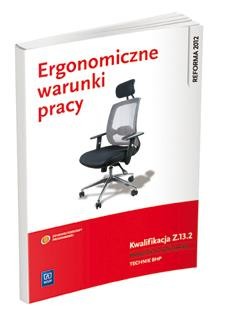 Ergonomiczne warunki pracy Kwalifikacja z. 13....