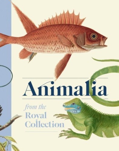 Animalia wer. angielska, Andrew Brown