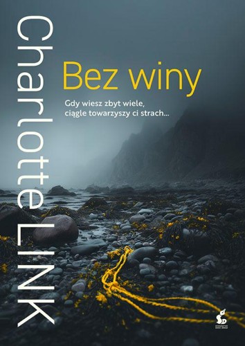 Bez winy wyd. 2025, Charlotte Link