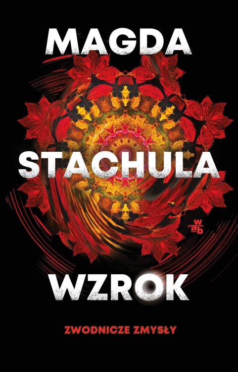 Wzrok. Zwodnicze zmysły. Tom 1, Magda Stachula