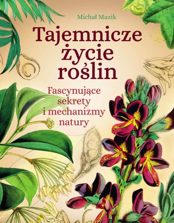 Tajemnicze życie roślin. Fascynujące sekrety i...