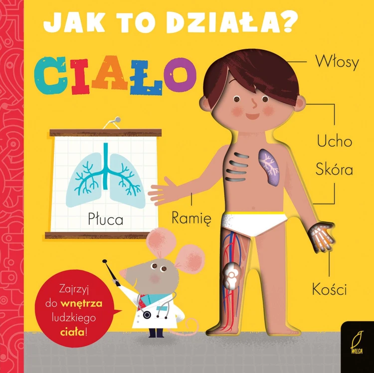 Jak to działa. Ciało, Amelia Hepworth