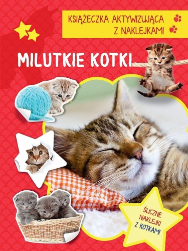Milutkie kotki. Książeczka aktywizująca z...