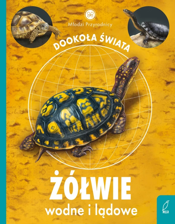 Żółwie wodne i lądowe. Młodzi przyrodnicy