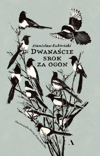 Dwanaście srok za ogon, Stanisław Łubieński