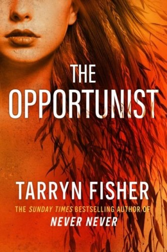 The Opportunist. Book 1, The Tarryn Fisher