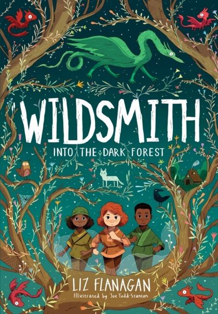 Wildsmith. Into the dark forest, Liz Flanagan