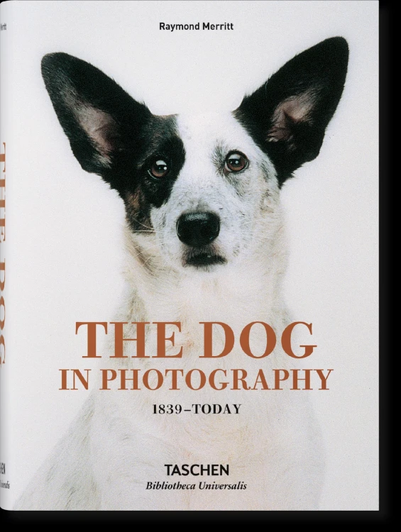 The Dog in Photography 1839-Today wer. angielska