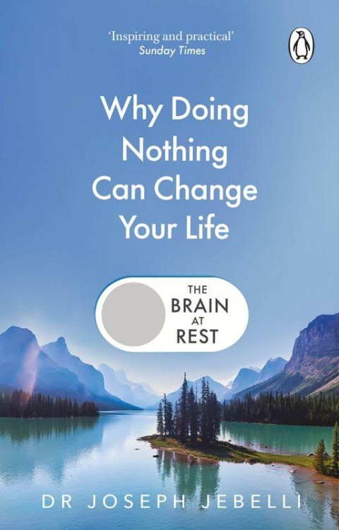 The Brain at Rest. Why doing nothing can...