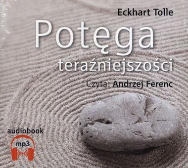 obraz_2026-02-25_140917787.png