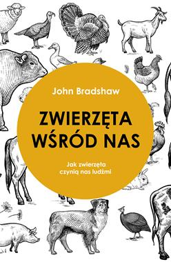 obraz_2026-03-09_151745778.png