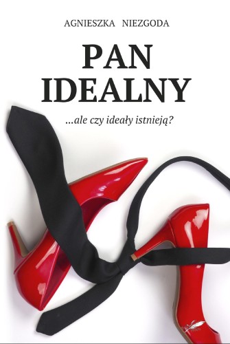 Pan Idealny, Agnieszka Niezgoda