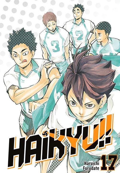 Haikyu!! Tom 17, Haruichi Furudate
