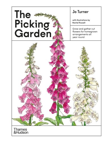 The Picking Garden, Jo Turner