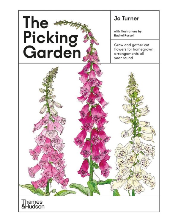 The Picking Garden, Jo Turner