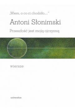 Wiem, o co ci chodziło... Przeszłość jest moją...