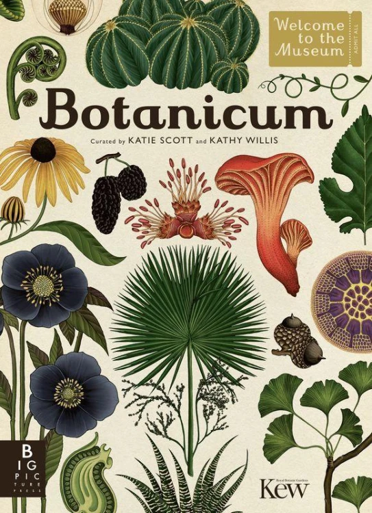 Botanicum, Kathy Willis