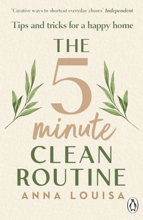The 5 Minute Clean Routine, Anna Louisa