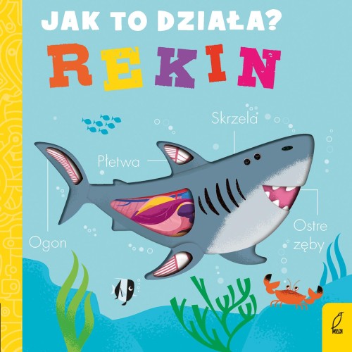 Rekin. Jak to działa, Molly Littleboy