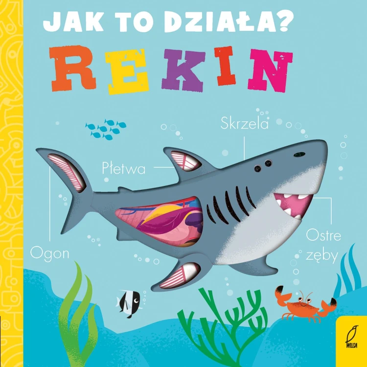Rekin. Jak to działa, Molly Littleboy