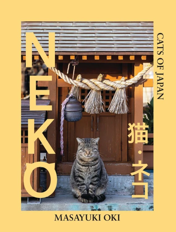 Neko, Masayuki Oki