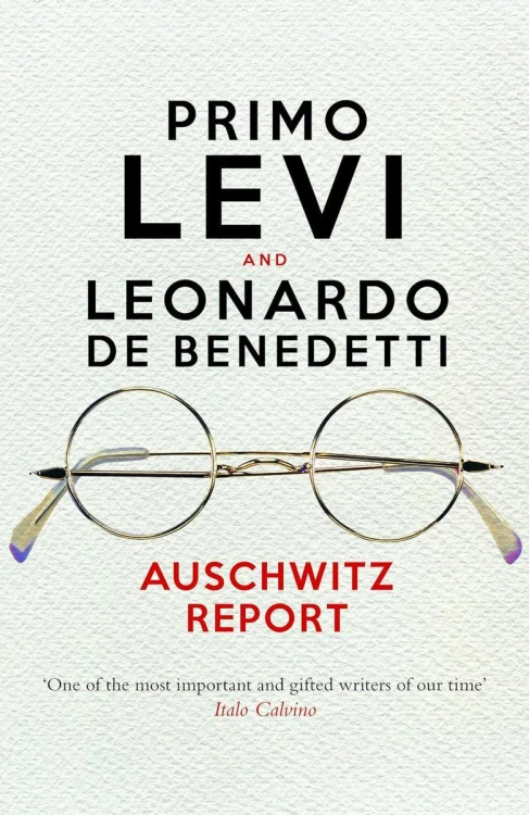 Auschwitz Report, Primo Levi,Leonardo De Benedetti