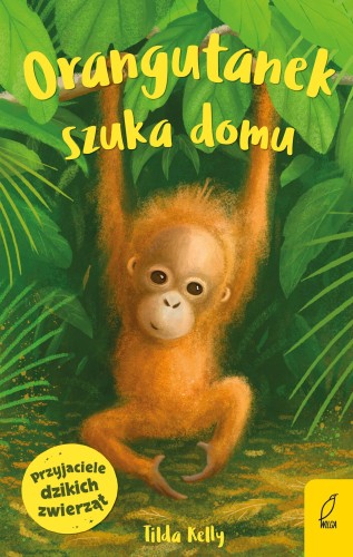 Orangutanek szuka domu. Przyjaciele dzikich...
