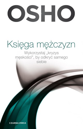Księga mężczyzn. Wykorzystaj kryzys męskości,...
