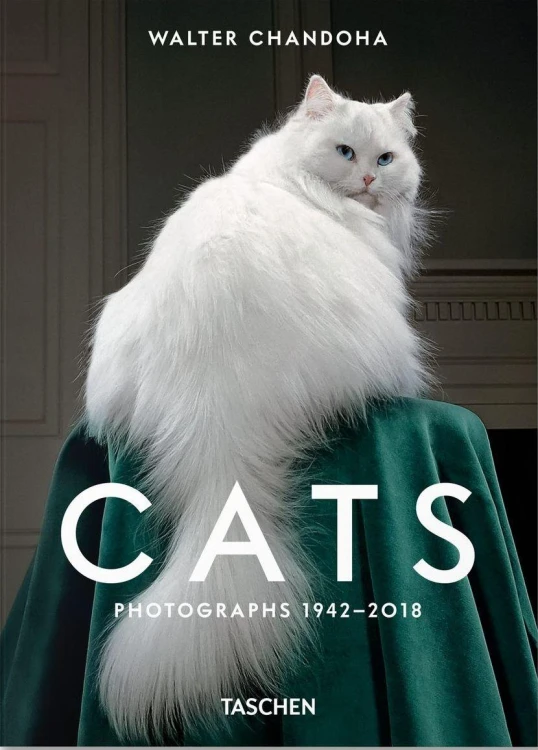 Walter Chandoha. Cats. Photographs 1942-2018...