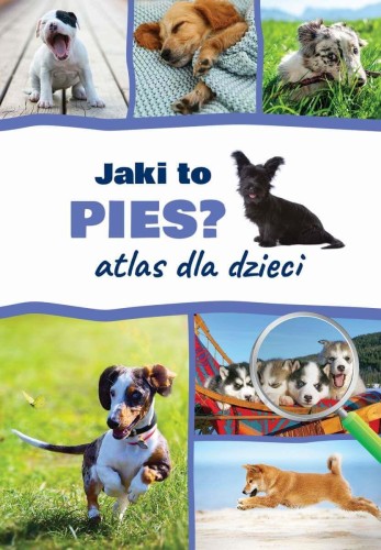 Jaki to pies? Atlas dla dzieci, Anna Iglikowska