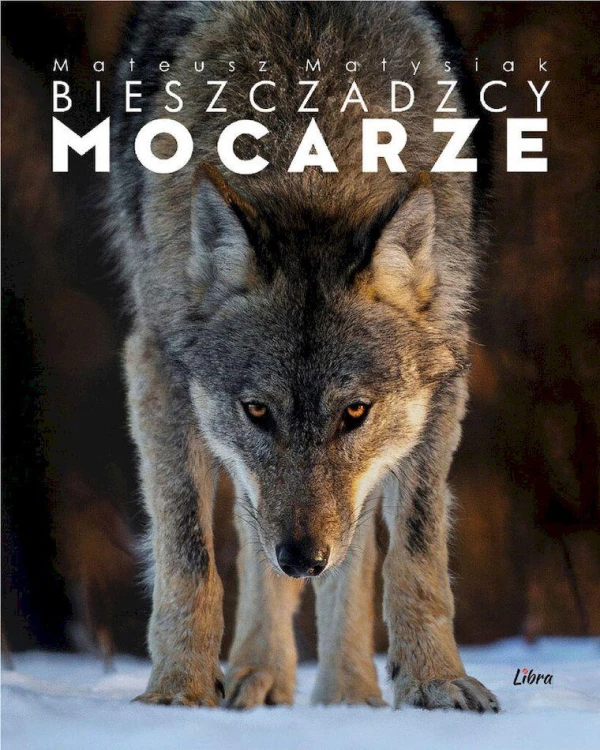 Bieszczadzcy mocarze wyd. 2, Mateusz Matysiak