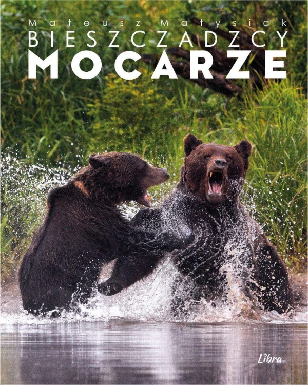 Bieszczadzcy mocarze, Mateusz Matysiak