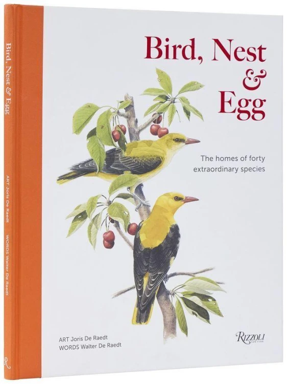 Bird, Nest & Egg, Walter De Raedt