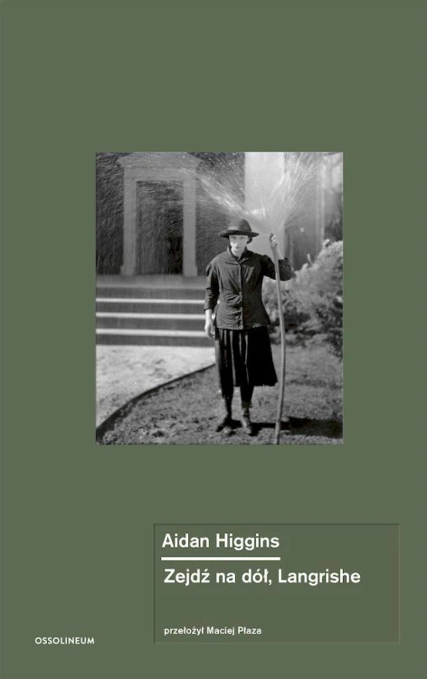 Zejdź na dół, Langrishe, Aidan Higgins