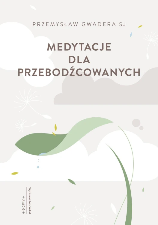 Medytacje dla przebodźcowanych, Przemysław Gwadera