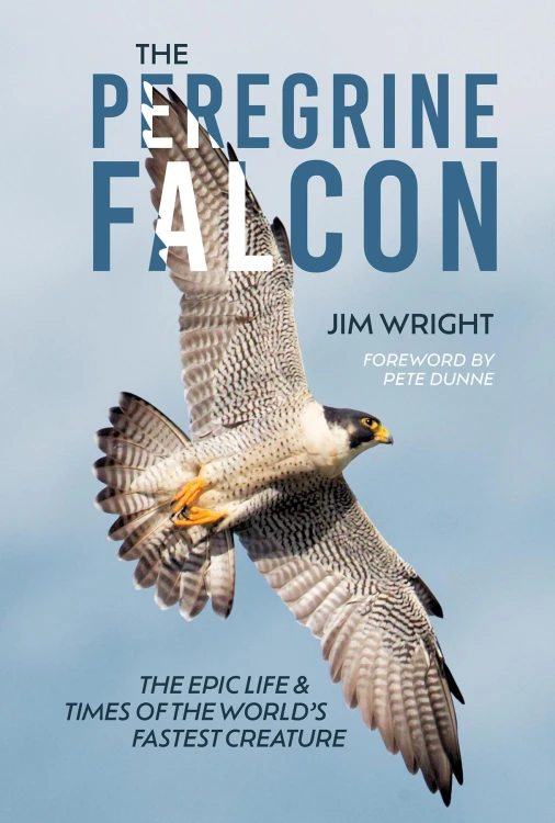 The Peregrine Falcon, Jim Wright