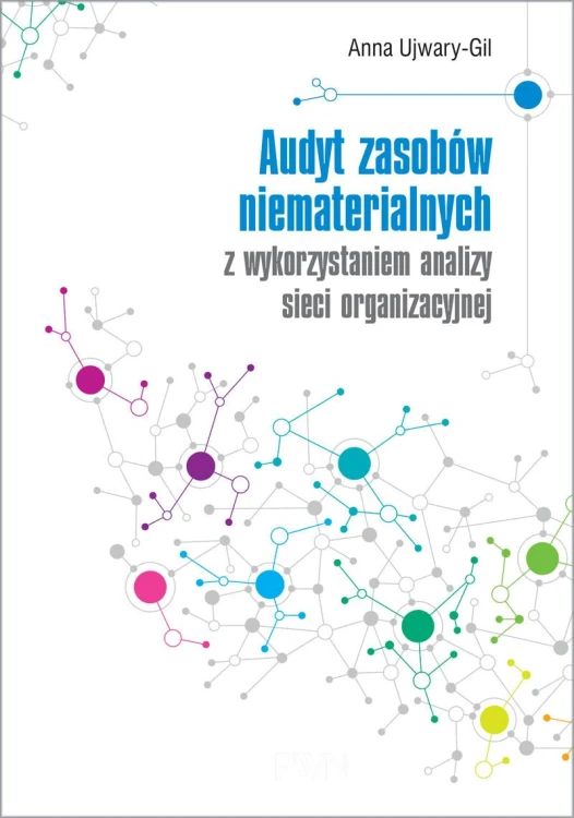 Audyt zasobów niematerialnych z wykorzystaniem...