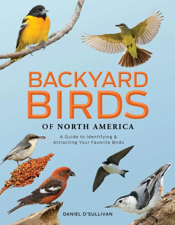 Backyard Birds of North America, Daniel O'Sullivan