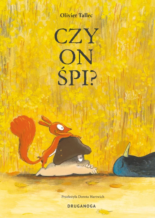 Czy on śpi? Wiewiórka, Olivier Tallec