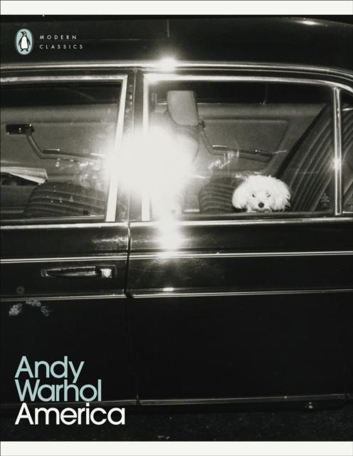 America, Andy Warhol