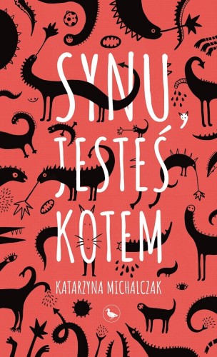 Synu, jesteś kotem, Katarzyna Michalczak