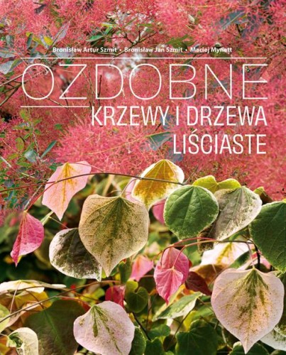 Ozdobne krzewy i drzewa liściaste