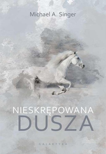 Nieskrępowana dusza, Michael A. Singer