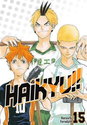 Haikyu!! Tom 15, Haruichi Furudate